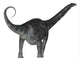 Argentinosaurus Dinosaur Rear View Fine Art Print by Corey Ford