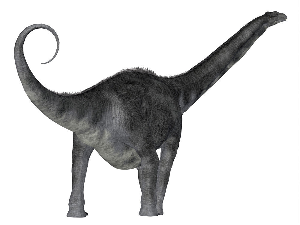 Argentinosaurus Dinosaur Rear View Fine Art Print by Corey Ford