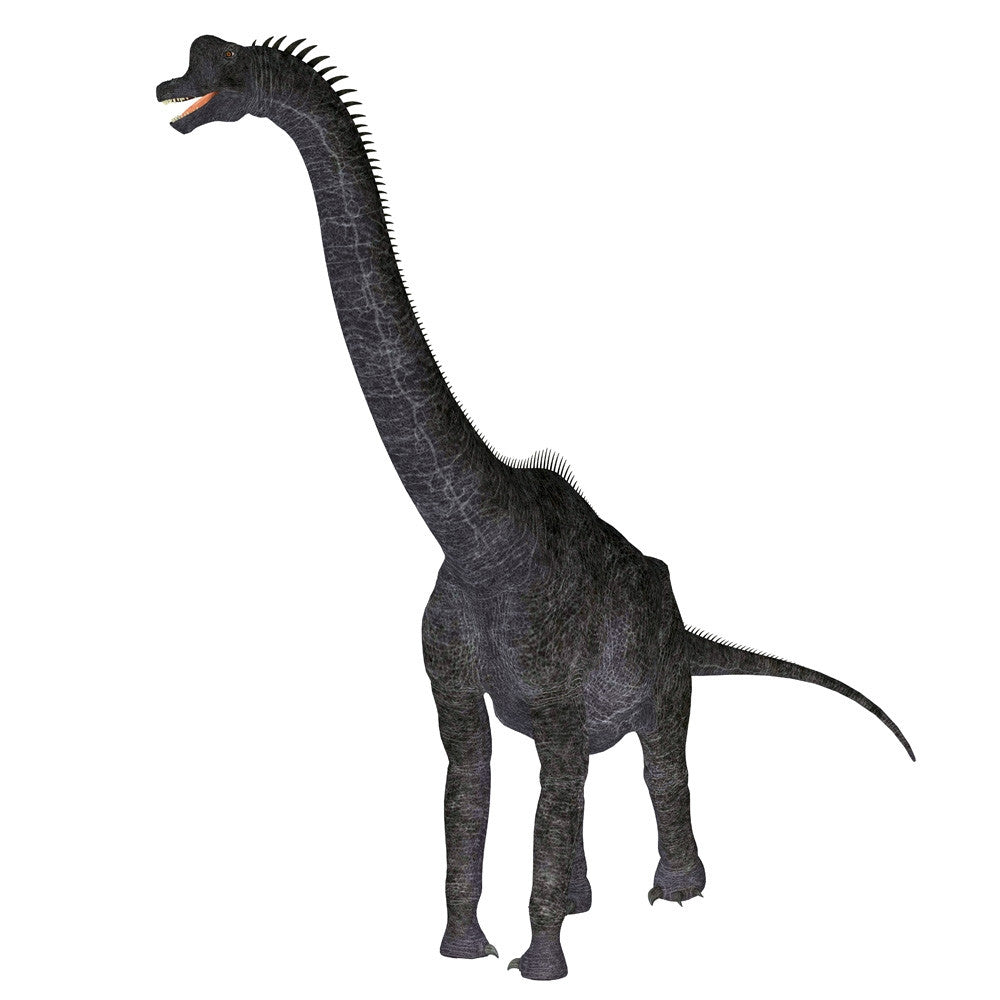 Brachiosaurus Dinosaur Fine Art Print by Corey Ford | Posterazzi
