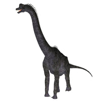 Brachiosaurus Dinosaur Fine Art Print by Corey Ford | Posterazzi