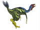 Caudipteryx Dinosaur Fine Art Print by Corey Ford | Stocktrek Images