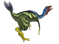 Caudipteryx Dinosaur Fine Art Print by Corey Ford | Stocktrek Images