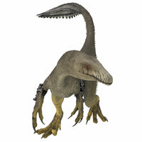 Dakotaraptor Dinosaur Front View Fine Art Print by Corey Ford