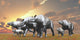 Paraceratherium Mammals Fine Art Print by Corey Ford | Stocktrek Images
