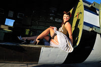 1940s style pin-up girl sitting inside C-47 Skytrain aircraft poster print