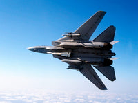F-14A Tomcat with missile armament poster print by Dave Baranek