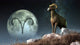 Aries Zodiac Poster Print featuring the ram symbol, perfect for astrology enthusiasts.
