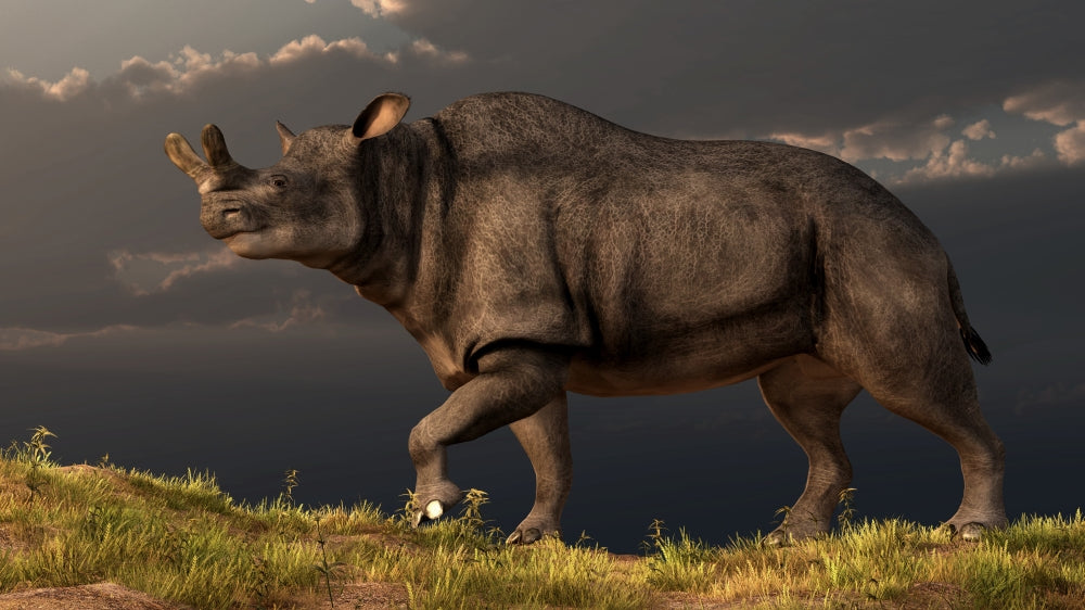 Brontotherium walking atop a grassy hill poster print.