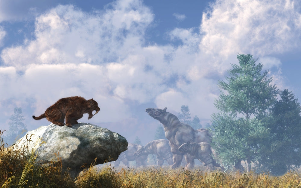 A Eusmilus watches a herd of Paraceratherium poster print.