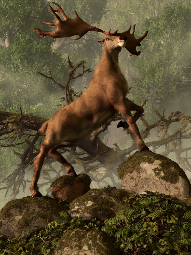 Irish Elk standing in a dense forest, nature poster print.
