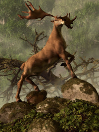 Irish Elk standing in a dense forest, nature poster print.