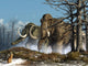 A rabbit in a snowy forest witnessing a herd of mammoths poster print.