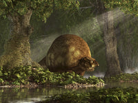 Glyptodon standing near a stream poster print