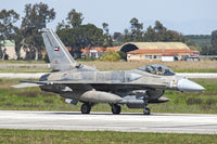 United Arab Emirates Air Force F-16E Desert Falcon Poster Print by Daniele Faccioli