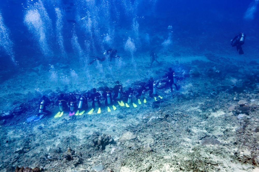 Divers preparing for a shark feeding at Beq Lagoon, Fiji poster print.