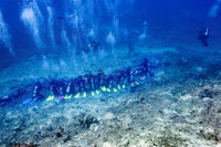 Divers preparing for a shark feeding at Beq Lagoon, Fiji poster print.