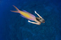 Mermaid and ocean scene digital composite poster print by David Fleetham.