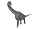 Brachiosaurus dinosaur poster print on white background