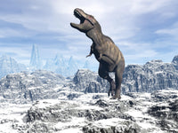Tyrannosaurus Rex dinosaur roaring in a snowy landscape poster print.