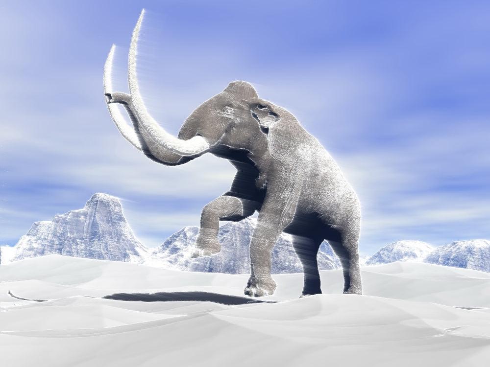 Large mammoth walking on snowy mountain poster print