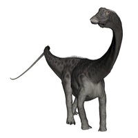 Diplodocus Dinosaur Poster Print on a white background.