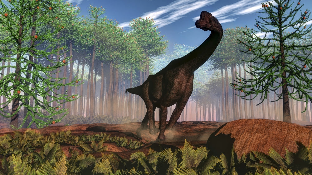 Brachiosaurus Dinosaur Poster Print in Araucaria Forest