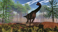 Brachiosaurus Dinosaur Poster Print in Araucaria Forest