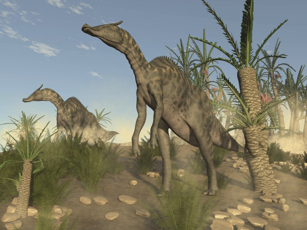 Poster print of Two Saurolophus dinosaurs walking among Onychiopsis and Williamsonia trees.
