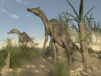 Poster print of Two Saurolophus dinosaurs walking among Onychiopsis and Williamsonia trees.