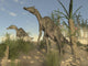 Poster print of Two Saurolophus dinosaurs walking among Onychiopsis and Williamsonia trees.