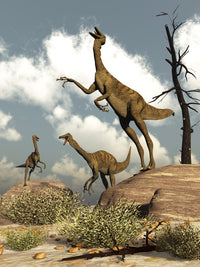 Herd of Gallimimus Dinosaurs in the Desert Poster Print featuring vibrant colors and detailed artwork.