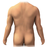 Poster of Posterior Anatomy of the Human Male showcasing detailed anatomical features.