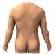Poster of Posterior Anatomy of the Human Male showcasing detailed anatomical features.