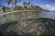 Coral reef near Guadalcanal in the Solomon Islands poster print