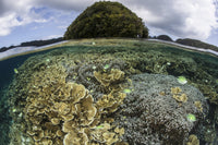 Stunning coral reefs in Palau lagoon poster print.