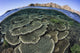Coral reef thriving in Komodo National Park, Indonesia poster print by Ethan Daniels.