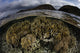 Corals in shallow water at Komodo National Park poster print by Ethan Daniels.