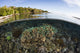 Vibrant coral reef thriving in shallow water near Alor in the Lesser Sunda Islands poster print.