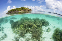 Coral reef near Raja Ampat island poster print by Ethan Daniels showcasing vibrant marine life.