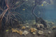 Blue water mangrove nursery poster print showcasing vibrant aquatic life.