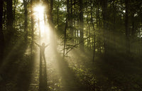 Silhouette of a man standing in sunrays in a misty forest at Liselund Slotspark, Denmark.