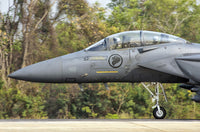 Royal Singapore Air Force F-15E Strike Eagle Poster Print by Giovanni Colla
