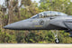 Royal Singapore Air Force F-15E Strike Eagle Poster Print by Giovanni Colla