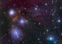 NGC 2170 Reflection Nebula Poster Print by Robert Gendler in vibrant colors.