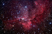 NGC 7380 Emission Nebula Poster Print by Robert Gendler
