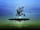 Flying Tree Digital Art Poster Print showcasing a whimsical tree in the sky.