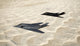 http://c328301.r1.cf1.rackcdn.com/PSTHGP100335M.jpg