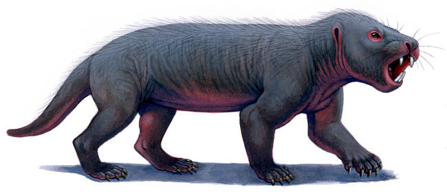 Kayentatherium Jurassic Mammal Poster Print by H. Kyoht Luterman