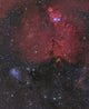 Cone Nebula and Fox Fur Nebula Poster Print showcasing deep space beauty.