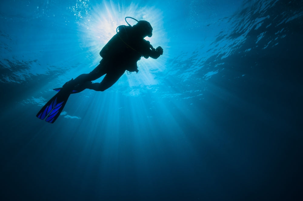 Diver swimming past sunlight in the Gulf of Mexico poster print.